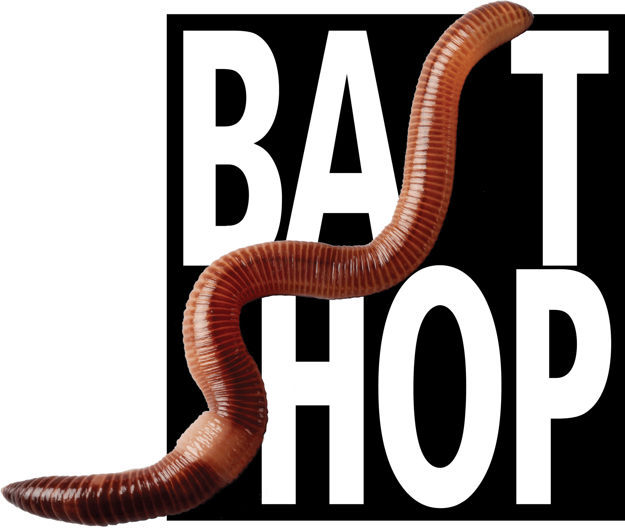 Baitshop