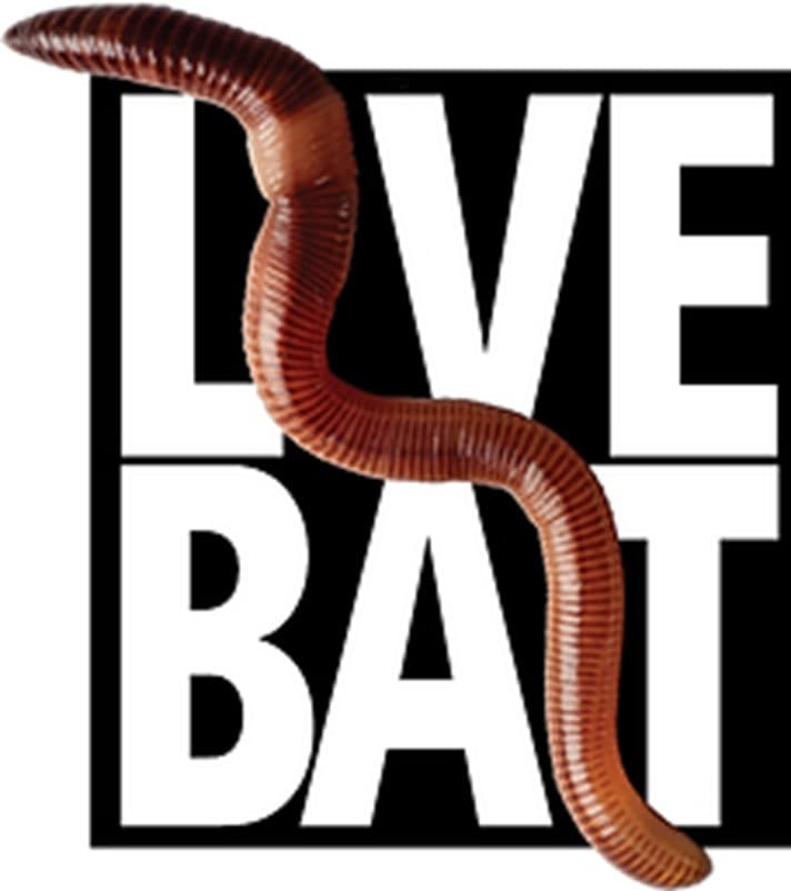 Live Bait